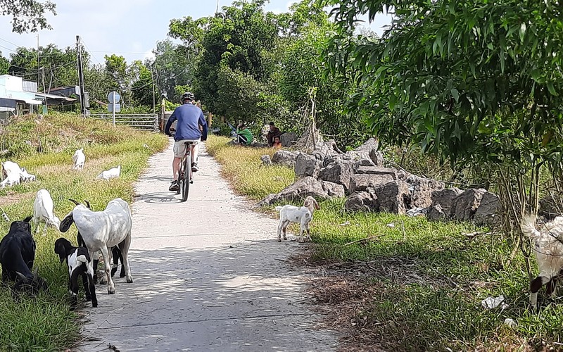 Cycling Tour Mekong Delta Ho Ho Chi Minh to Phu Quoc